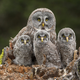“Family Portrait”